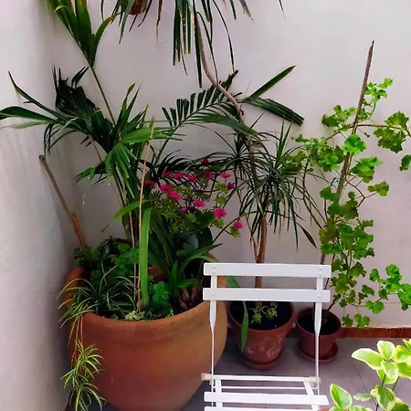 La Casa Del Sol Pego